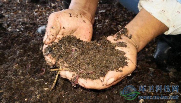 每20噸不值錢的濕垃圾，可以轉(zhuǎn)換成1噸售價(jià)在1萬(wàn)多元的蚯蚓活體