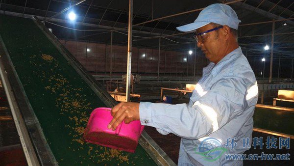 經(jīng)過(guò)篩選、蒸煮、烘干、粉碎后的蟲干、蟲粉，市場(chǎng)價(jià)值比蚯蚓活體高出許多 